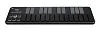 Korg Nanokey2-BK Портативный USB-MIDI-контроллер.-1