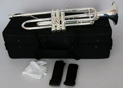 Conductor FLT-TR-3S Труба Bb.